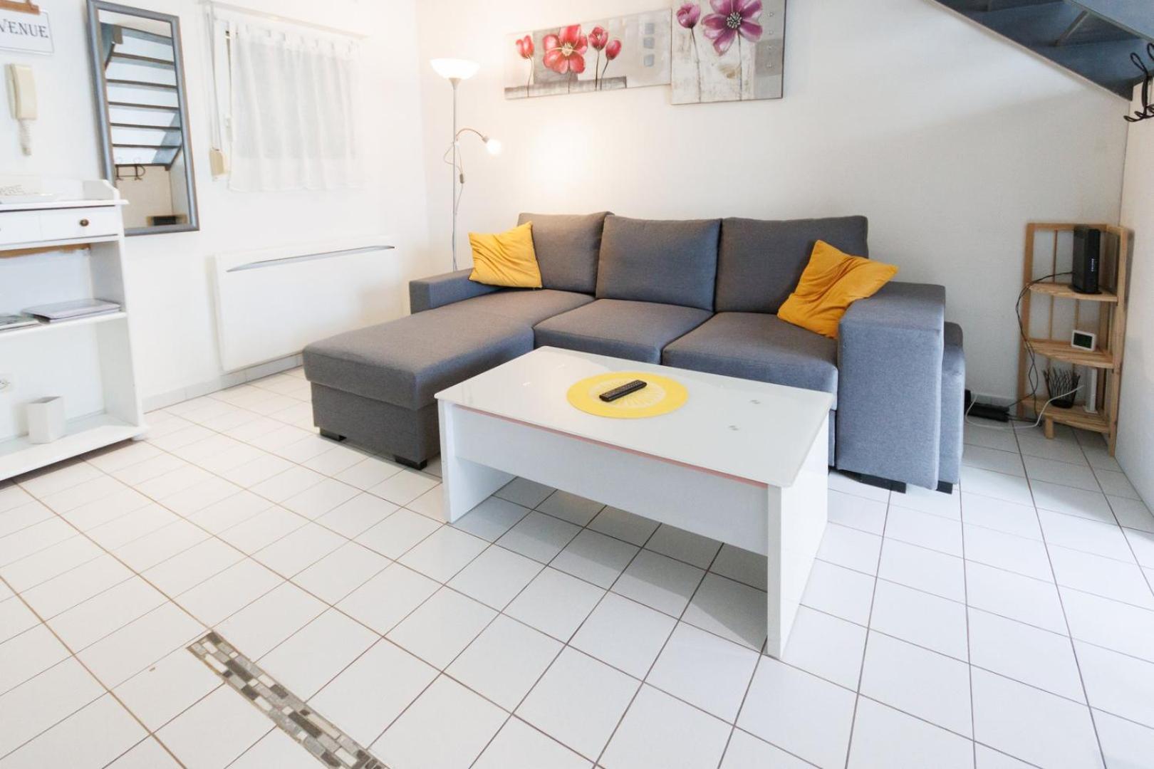 Le Duplex Preize Chez Stephane Et Sabrina 特鲁瓦 外观 照片